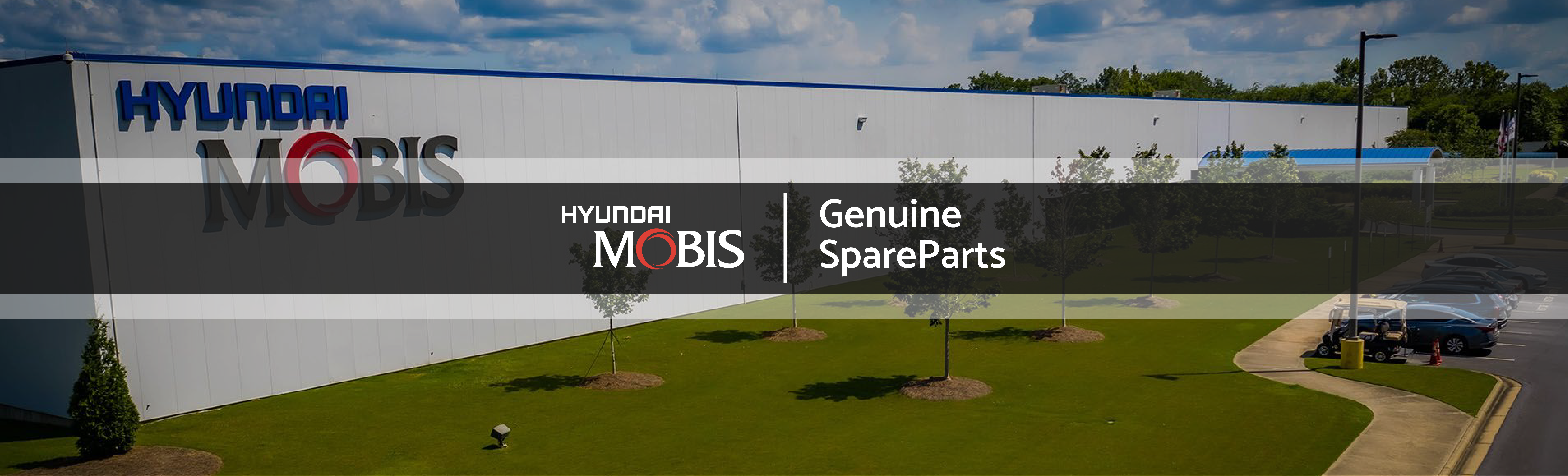 Genuine Hyundai Mobis Auto Parts Supplier In Dubai - UAE